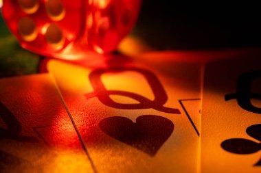 বিঙ্গো অ্যাডভেঞ্চার গেম প্রিভিউ